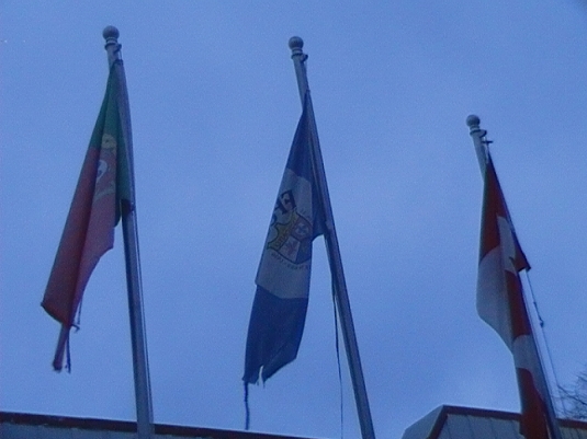 Image of flags outside the First Portuguese Canadian Cultural Centre by Daniela Costa